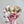 Load image into Gallery viewer, Dried Floral Bouquets - 6