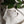 Load image into Gallery viewer, Ovoid Earrings - 1