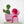 Load image into Gallery viewer, 3" Small Wiggle Planters: Strawberry Lemonade