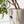 Load image into Gallery viewer, 611fc05e3c4ce80992caae23_-dsc3829-low-res_1749745015711.jpg