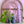 Load image into Gallery viewer, Worm Plant Pal - 1