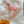 Load image into Gallery viewer, Worm Plant Pal - 2