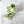 Load image into Gallery viewer, Cucumber Mint Body Lotion - 2