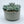 Load image into Gallery viewer, Concrete Succulent Garden Container - 1