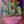 Load image into Gallery viewer, Midnight in Sevilla - 1