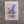 Load image into Gallery viewer, Texas Blue Bonnet Postcard - 2