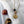 Load image into Gallery viewer, Zodiac Necklace Leo - 5