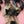 Load image into Gallery viewer, Bat Hair Claw - 1