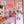 Load image into Gallery viewer, Froggie Friends Sticker - 1