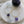 Load image into Gallery viewer, Lumina Earrings - 6