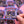 Load image into Gallery viewer, Spooky Bookstore Sticker - 1