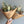 Load image into Gallery viewer, Mini Bouquet by The Gardeners Wife - 1