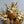 Load image into Gallery viewer, Mini Bouquet by The Gardeners Wife - 4