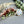 Load image into Gallery viewer, Bath Soak + Florals - 4