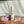 Load image into Gallery viewer, Aromatherapy Fragrance Rollers - 8