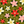 Load image into Gallery viewer, Poinsettia Pattern - Beautiful Holiday Greeting Card - 2