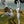 Load image into Gallery viewer, Valley of the Amazons Print - 2