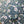Load image into Gallery viewer, Wild and Precious Sticker - 5