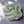 Load image into Gallery viewer, Dinosaurs Didn't Read Sticker - 2