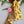 Load image into Gallery viewer, Lovies - 12