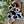 Load image into Gallery viewer, Lovies - 15