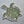 Load image into Gallery viewer, Speed Racer - 1