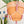 Load image into Gallery viewer, Color Block Plant Hangers - 2