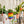 Load image into Gallery viewer, Color Block Plant Hangers - 8