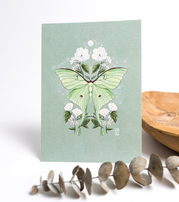 Luna Moth Art Print | Green Background - 1