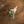 Load image into Gallery viewer, Cactus and Hummingbird Sticker - 1