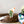 Load image into Gallery viewer, Cactus and Hummingbird Sticker - 2