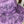 Load image into Gallery viewer, Selena Custom hat - 5