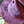 Load image into Gallery viewer, Selena Custom hat - 12