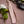 Load image into Gallery viewer, Pink Leather Tassel Keychain - 1