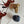 Load image into Gallery viewer, Yin Yang Cowboy Club Earrings