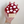 Load image into Gallery viewer, XL Mushroom Acetate Hair Claw