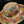 Load image into Gallery viewer, Flowers Hat