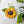 Load image into Gallery viewer, 611fc05e3c4ce80992caae23_20250224-142825_1755194768470.jpg