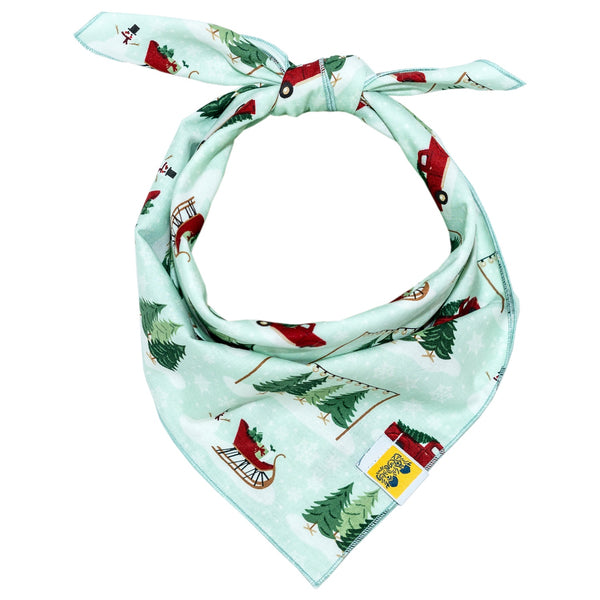 611fc05e3c4ce80992caae23_christmas-tree-farm-mint-bandana_1758762560815.jpg