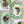 Load image into Gallery viewer, 611fc05e3c4ce80992caae23_img-2847_1748016001474.jpg