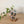 Load image into Gallery viewer, Tulips Can Glass Cup