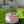 Load image into Gallery viewer, 611fc05e3c4ce80992caae23_img-8627_1753851708567.jpeg