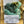 Load image into Gallery viewer, 611fc05e3c4ce80992caae23_img-9527_1747722202275.jpeg