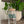 Load image into Gallery viewer, Plants and Coffee Can Glass Cup