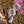 Load image into Gallery viewer, 611fc05e3c4ce80992caae23_lls-product-beetle-sticker-2_1747882493927.jpg