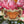 Load image into Gallery viewer, 611fc05e3c4ce80992caae23_lls-product-orangebutterfly-sticker-1_1747882143029.jpg