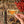 Load image into Gallery viewer, 611fc05e3c4ce80992caae23_lls-product-orangebutterfly-sticker-2_1747882143030.jpg