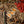 Load image into Gallery viewer, 611fc05e3c4ce80992caae23_lls-product-orangebutterfly-sticker-3_1747882143030.jpg