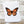 Load image into Gallery viewer, 611fc05e3c4ce80992caae23_monarch-butterfly-card_1753795881230.jpg