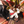 Load image into Gallery viewer, 611fc05e3c4ce80992caae23_outlaw-pin-no-restock-269335_1759005186514.png